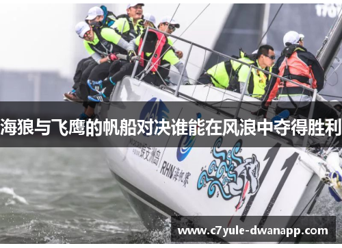 海狼与飞鹰的帆船对决谁能在风浪中夺得胜利